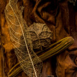 Detail Kunst - Elias Branch - persönliche Arbeiten